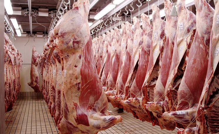 Une délégation visitent l’abattoir porcin d’Abidjan à Yopougon