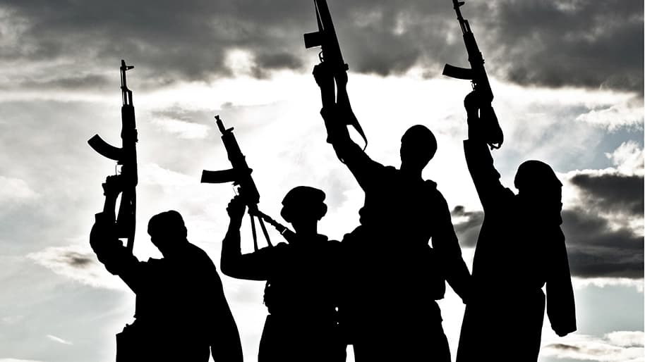 Terrorisme en Afrique de l'Ouest : pourquoi la menace s'étend jusqu'aux pays côtiers ?