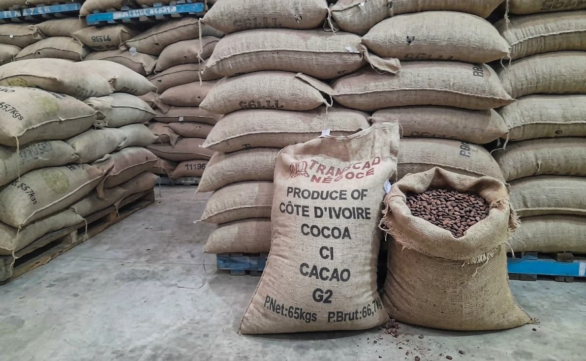 Filière cacao : entre ambition industrielle et fuite vers le Ghana, la Côte d’Ivoire resserre les rangs
