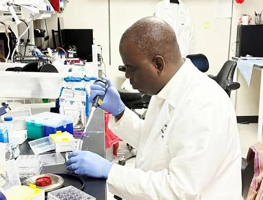 Côte d’Ivoire : le Zézépagnon la tisane au cœur du débat entre recherche scientifique et réglementation sanitaire